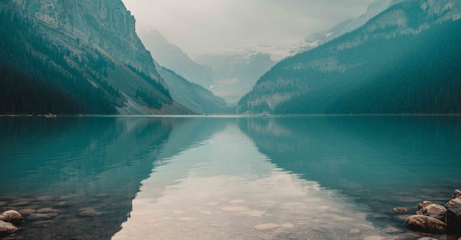 Welcome Fire Horse! image